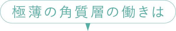 極薄の角質層の働きは