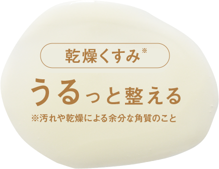 乾燥くすみ うるっと整える