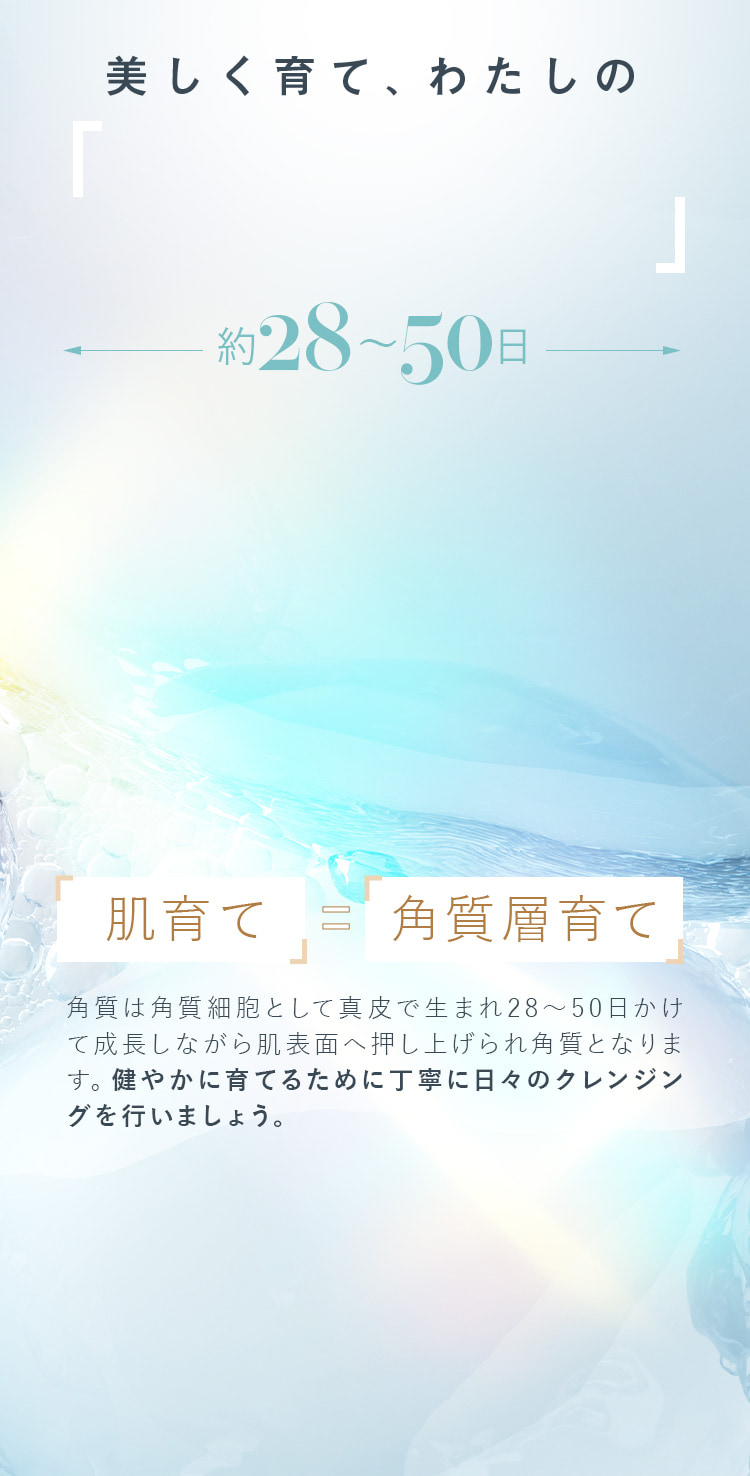 肌育て＝角質層育て