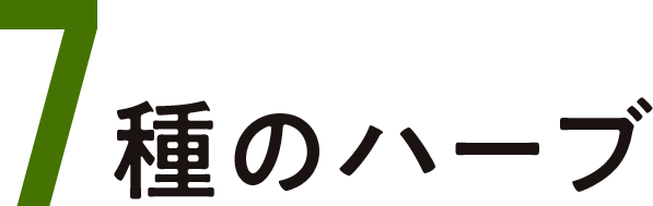 7種のハーブ