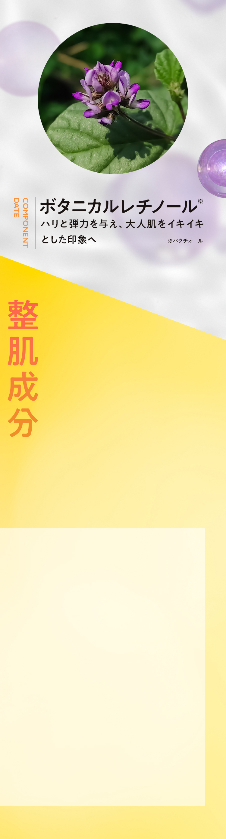 それぞれの相乗効果を狙った