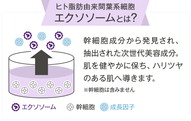 ヒト脂肪由来間葉系細胞エクソソ－ムとは？
