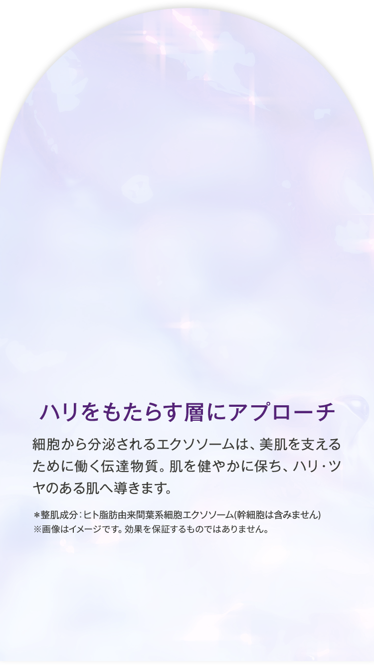 ハリをもたらす層にアプローチ