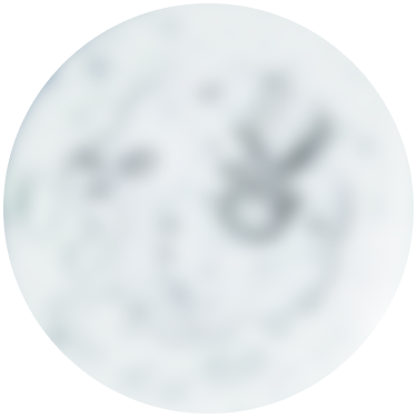 ヒト型セラミド