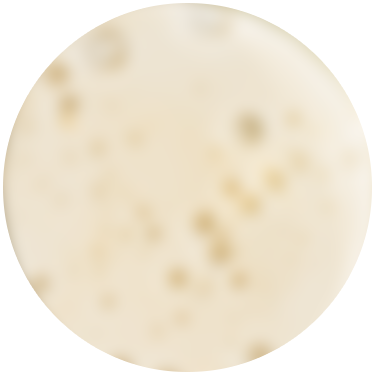 吸着型ヒアルロン酸