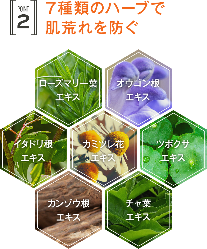 7種類のハーブで肌荒れを防ぐ