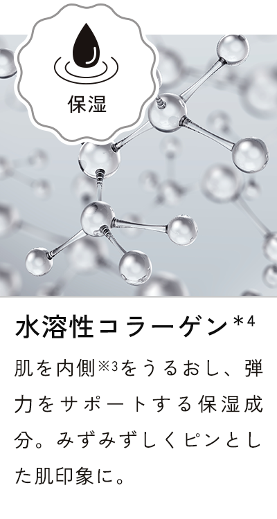 水溶性コラーゲン＊4 肌を内側※3をうるおし、弾力をサポートする保湿成分。みずみずしくピンとした肌印象に。