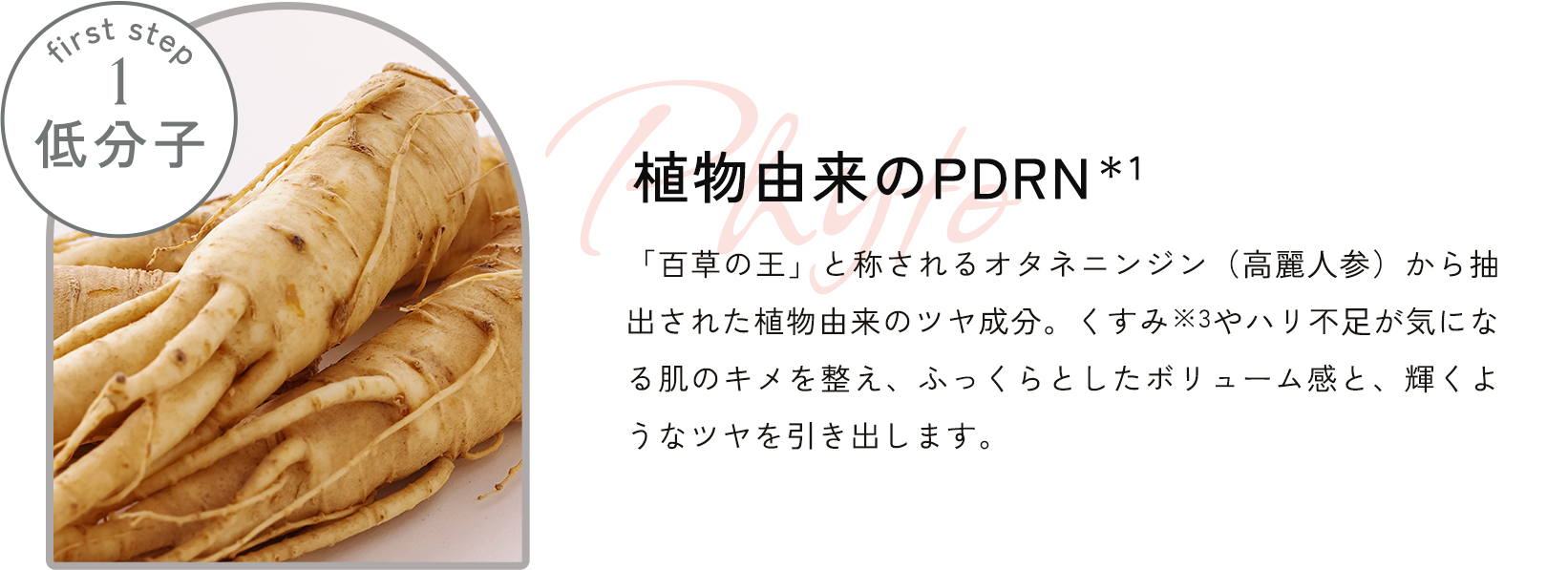 植物由来のPDRN＊1　「百草の王」と称されるオタネニンジン（⾼麗⼈参）から抽出された植物由来のツヤ成分。くすみ※3やハリ不⾜が気になる肌のキメを整え、ふっくらとしたボリューム感と、輝くようなツヤを引き出します。