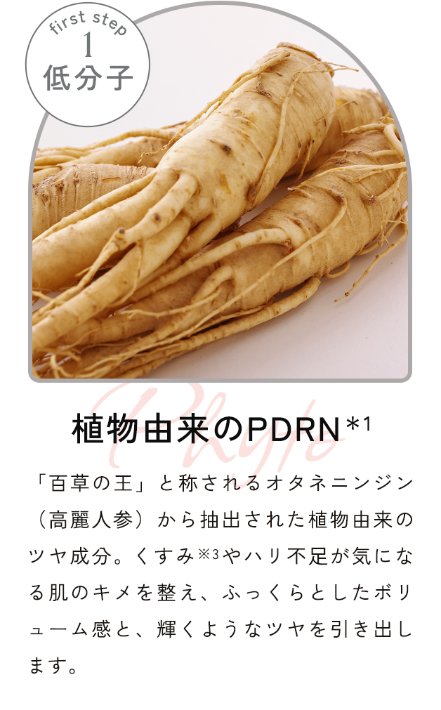 植物由来のPDRN＊1　「百草の王」と称されるオタネニンジン（⾼麗⼈参）から抽出された植物由来のツヤ成分。くすみ※3やハリ不⾜が気になる肌のキメを整え、ふっくらとしたボリューム感と、輝くようなツヤを引き出します。