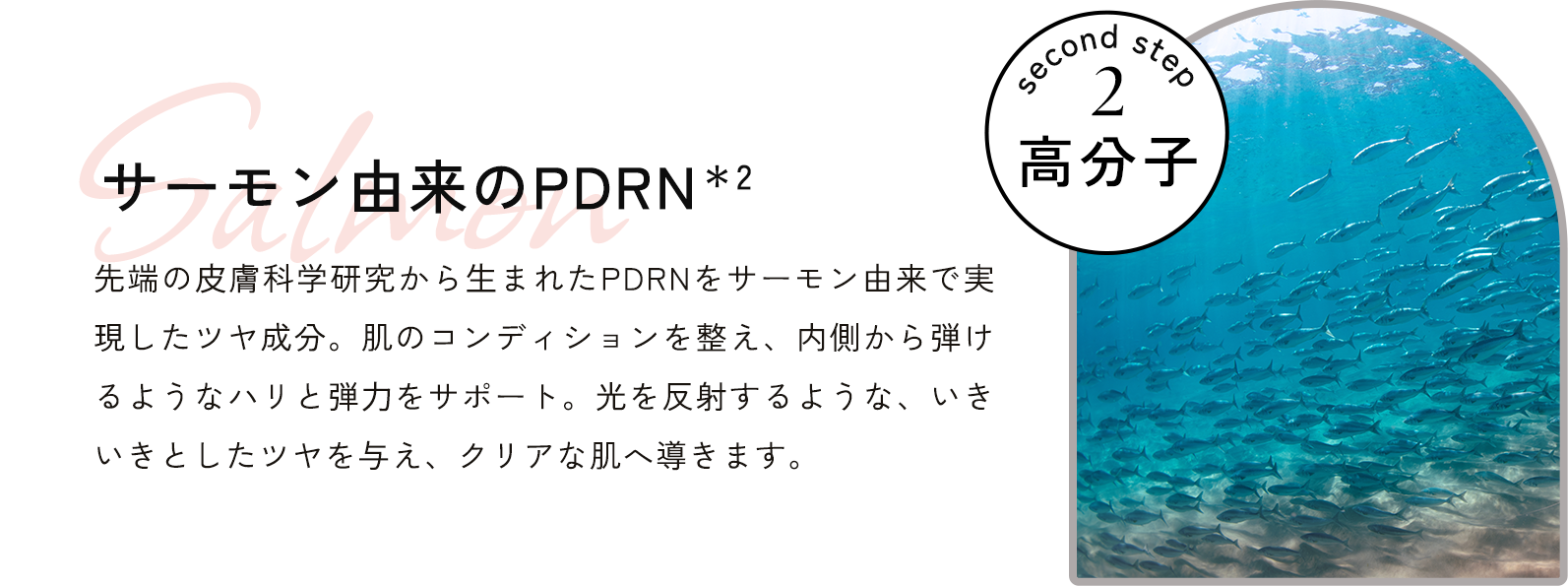 サーモン由来のPDRN＊2　先端の⽪膚科学研究から⽣まれたPDRNをサーモン由来で実現したツヤ成分。肌のコンディションを整え、内側から弾けるようなハリと弾⼒をサポート。光を反射するような、いきいきとしたツヤを与え、クリアな肌へ導きます。