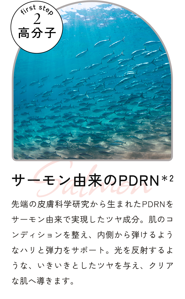 サーモン由来のPDRN＊2　先端の⽪膚科学研究から⽣まれたPDRNをサーモン由来で実現したツヤ成分。肌のコンディションを整え、内側から弾けるようなハリと弾⼒をサポート。光を反射するような、いきいきとしたツヤを与え、クリアな肌へ導きます。