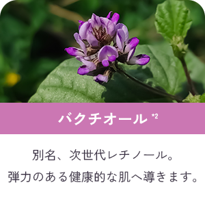 パクチオール*2 別名、次世代レチノール。弾力のある健康的な肌へ導きます。