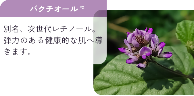 パクチオール*2 別名、次世代レチノール。弾力のある健康的な肌へ導きます。