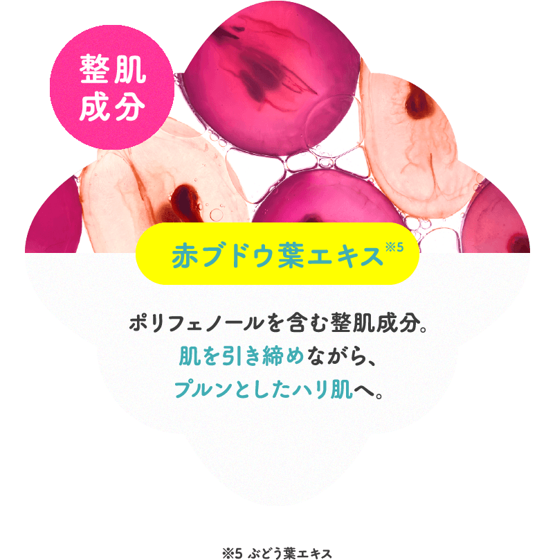赤ブドウ葉エキス※5 ポリフェノールを含む整肌成分。肌を引き締めながら、プルンとしたハリ肌へ。※5 ぶどう葉エキス