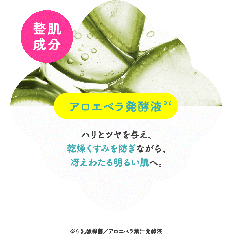 アロエベラ発酵液※6 ハリとツヤを与え、乾燥くすみを防ぎながら、冴えわたる明るい肌へ。※6 乳酸菌／アロエベラ汁発酵液