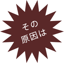 その原因は