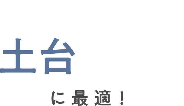 お肌の土台作りに最適！
