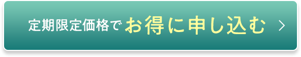 定期限定価格でお得に申し込む
