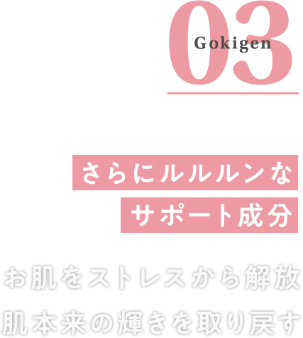 さらにルルルンなサポート成分