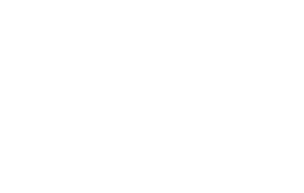 365day