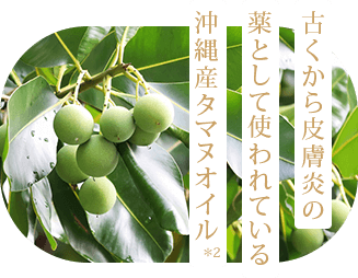 沖縄ルルルン（アロエの香り） - フェイスマスク ルルルン【公式】