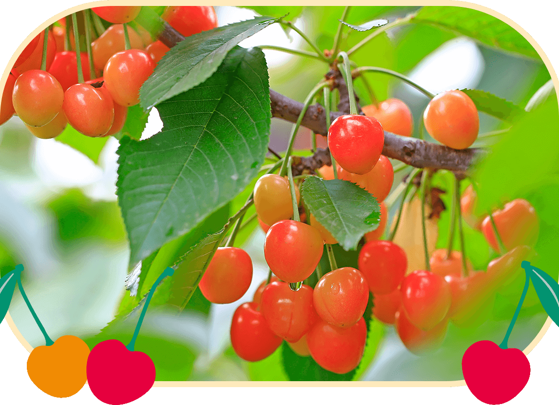 【るんるん】 るんるんびじつかん