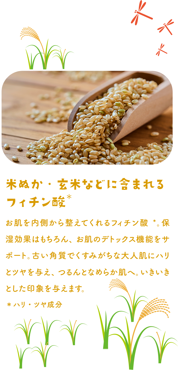 米ぬか・玄米などに含まれるフィチン酸 ハリ・ツヤ成分