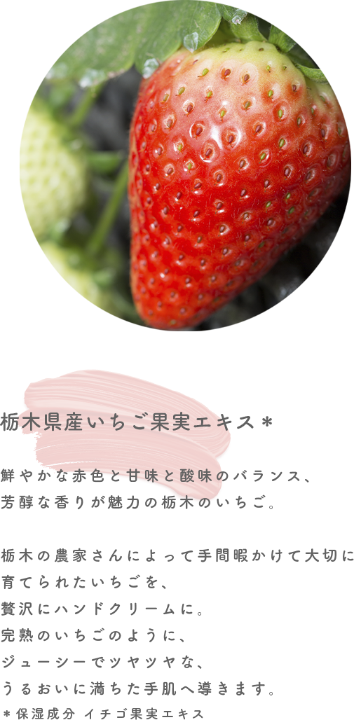 栃木県産とちあいか果実エキス＊　1996年に栃木で誕生し、今や国内で最も多く栽培されている品種、とちあいか。鮮やかな赤色と甘味と酸味のバランス、芳醇な香りが魅力で、多くの人たちに親しんでもらえるようにという名前の由来の通り、誕生から約30年が経った今でもその人気は衰えを見せません。栃木の農家さんによって手間暇かけて大切に育てられたとちあいかを、贅沢にハンドクリームに。完熟のとちあいかのように、ジューシーでツヤツヤな、うるおいに満ちた手肌へ導きます。＊保湿成分 イチゴ果実エキス