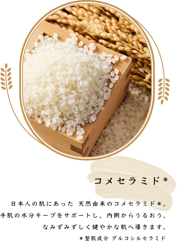 コメセラミド＊ 日本人の肌にあった天然由来のコメセラミド＊。手肌の水分キープをサポートし、内側からうるおう、なみずみずしく健やかな肌へ導きます。＊整肌成分 グルコシルセラミド